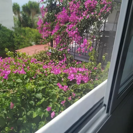 Kritharia Guesthouse Volos Exterior photo